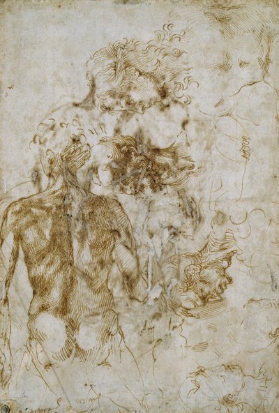 Studi di nudo maschile da Michelangelo Buonarroti
